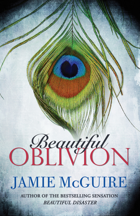 https://www.goodreads.com/book/show/20759554-beautiful-oblivion