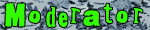 Mod/Triarius/US Army/Milsim Mod/Triarius/US Army/Milsim