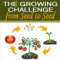 Seed to Seed Challenge