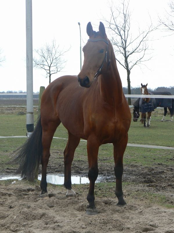 Afbeelding