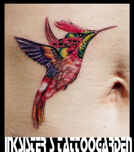 kolibri. realistic+tattoo. tattoo.