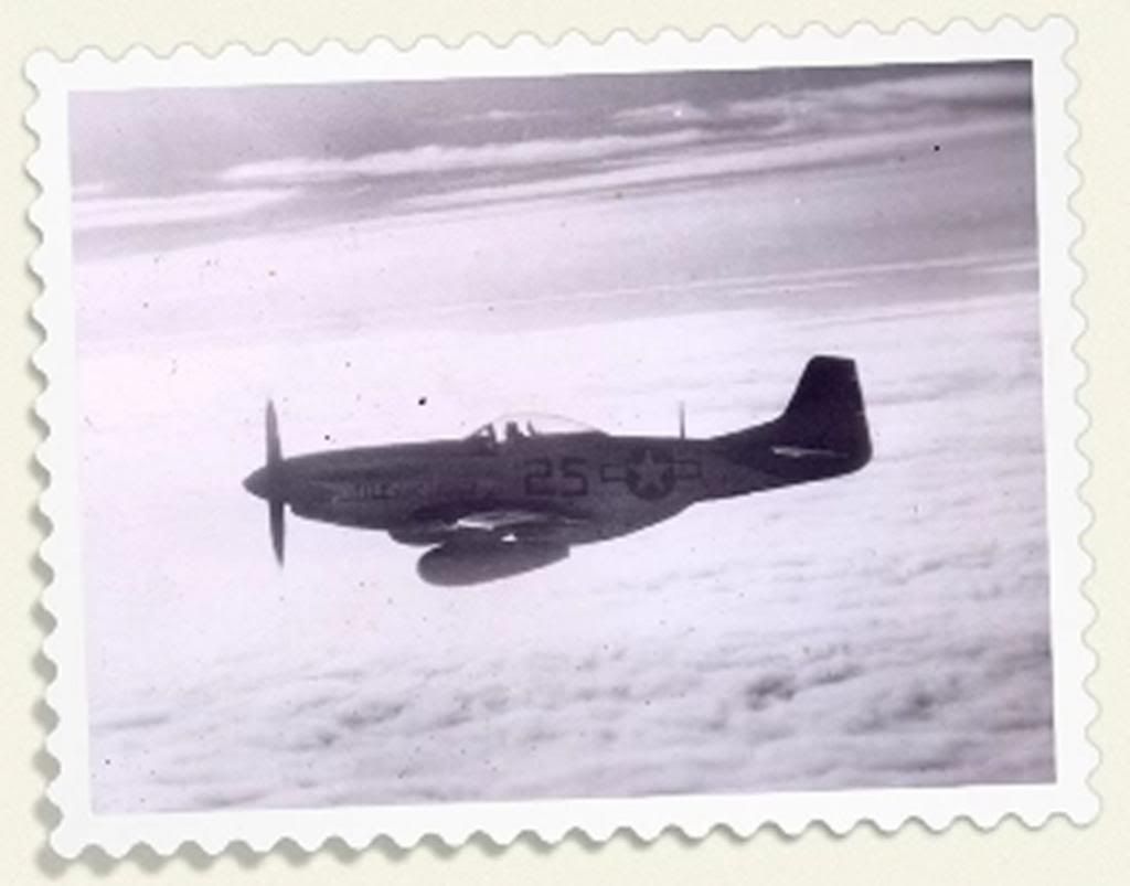 P-51D_zpsb273b7fa.jpg