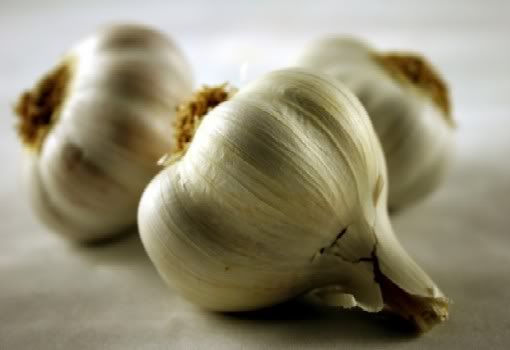 Garlic photo: natural acne treatment for sensitive skin