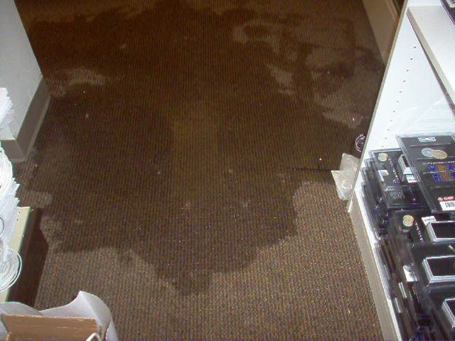 Water Cleanup, Flooded House, Carpet drying Lady Lake