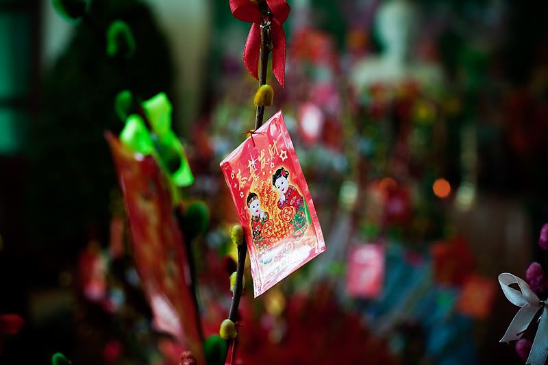 _MG_2257.jpg
