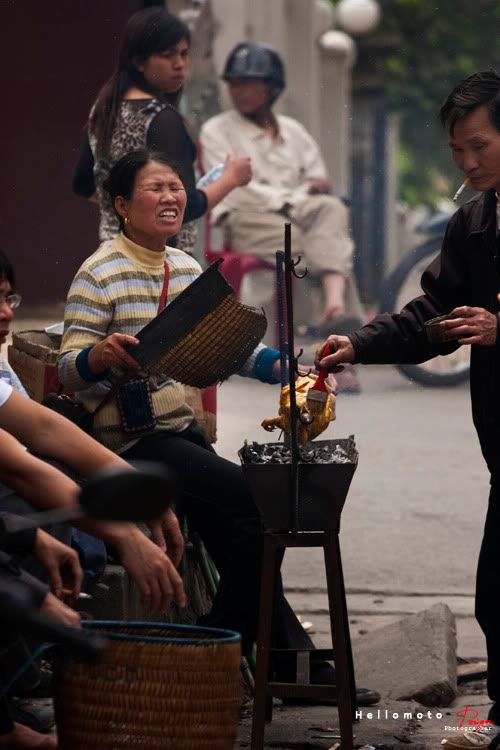 sapa20.jpg