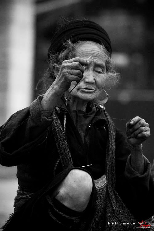 sapa24.jpg