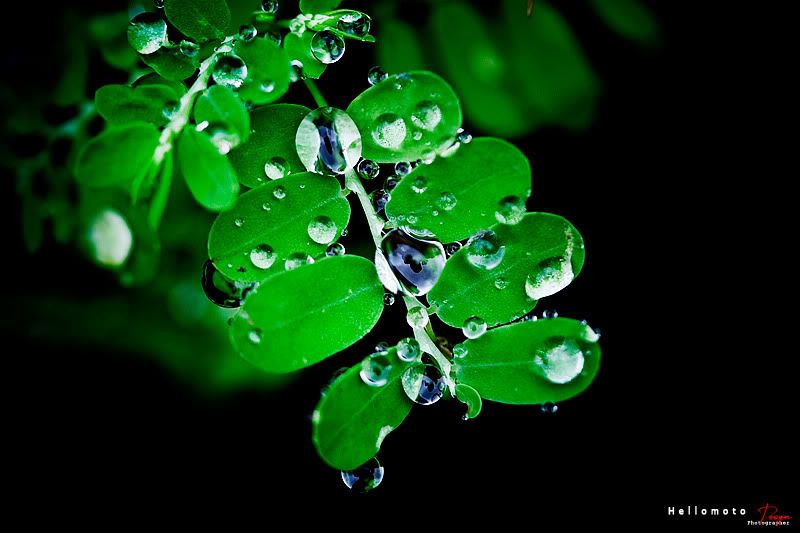 _MG_2428.jpg