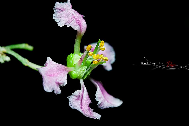 _MG_7718.jpg