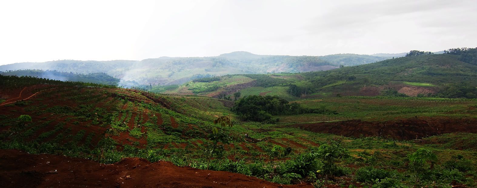 Untitled_Panorama1.jpg