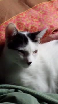 DSC00156.jpg