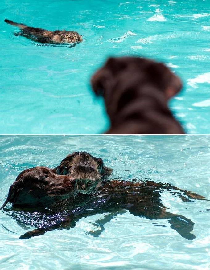 Imagenes unicas!! (muy bueno!!) Imagenes unicas!! (muy bueno!!)
