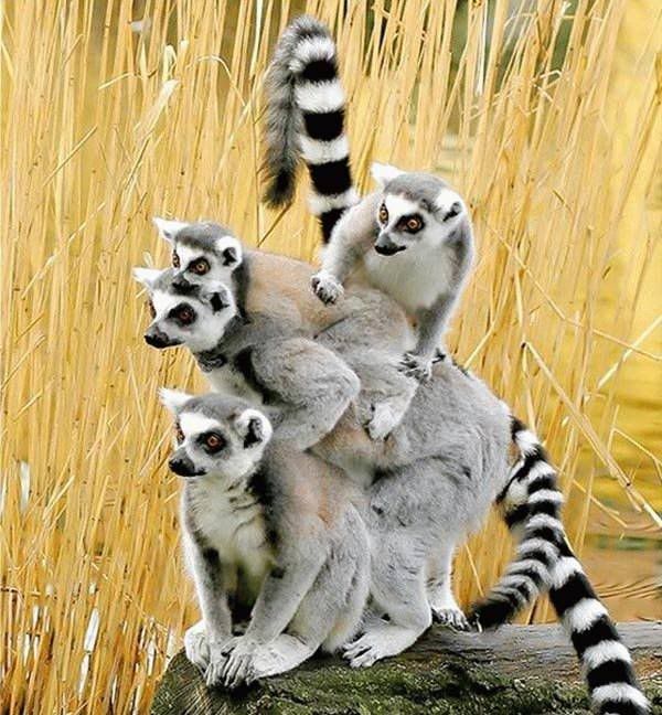 Imagenes unicas!! (muy bueno!!) Imagenes unicas!! (muy bueno!!)