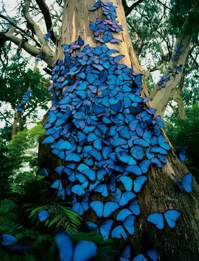 Imagenes unicas!! (muy bueno!!) Imagenes unicas!! (muy bueno!!)