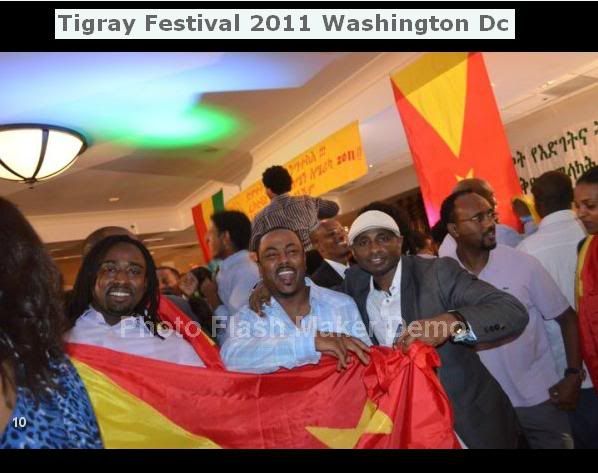 Tplf Flag