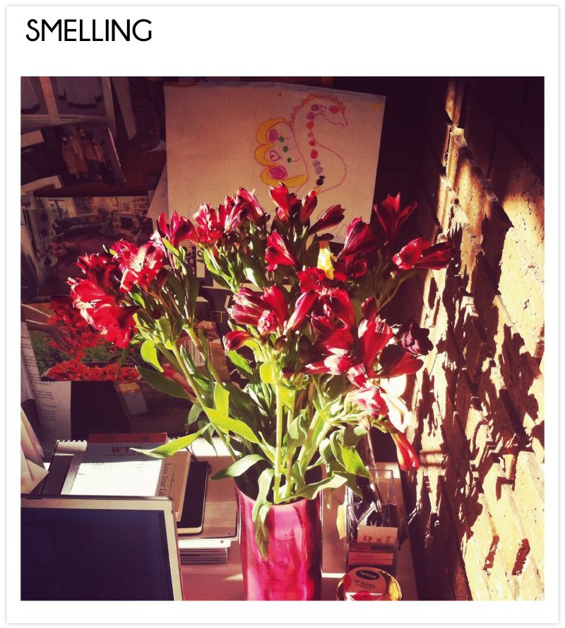photo SMELLING_zps6952533b.jpg