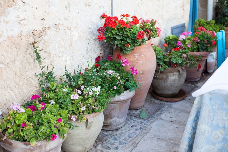 photo marzamemi-sicily-balamoda51_zps8b77494e.jpg
