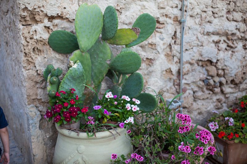 photo marzamemi-sicily-balamoda54_zpsd0bab4ef.jpg