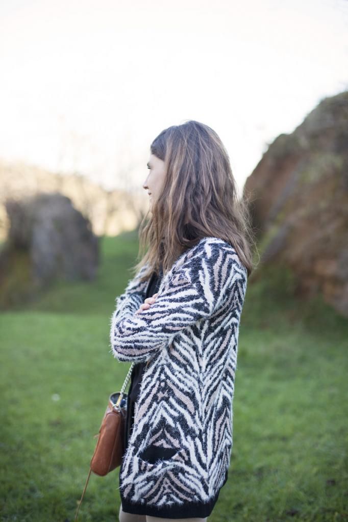photo animal_print_cardigan_streetstyle-cabarceno74_zpsf4328e6c.jpg