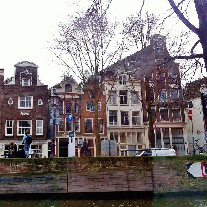 photo IMG_4443_zpsxanq8ope.jpg