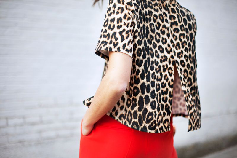  photo orange_pants-animalprint-streetstyle-balamoda27_zpshyv1uecp.jpg
