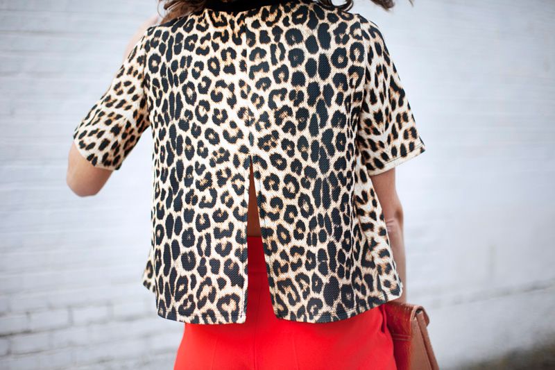  photo orange_pants-animalprint-streetstyle-balamoda28_zpstnjflzhn.jpg