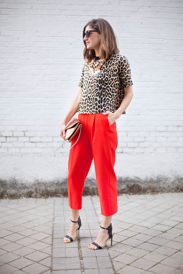 photo orange_pants-animalprint-streetstyle-balamoda29_zpshsdskd5f.jpg