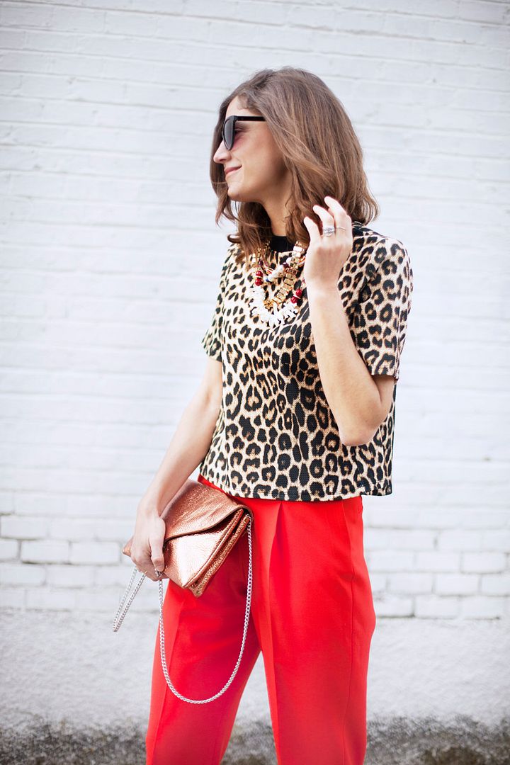  photo orange_pants-animalprint-streetstyle-balamoda31_zps0gfi6orv.jpg