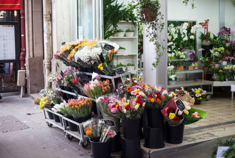 photo feriadiy-paris-balamoda_4_zps38f19dc9.jpg