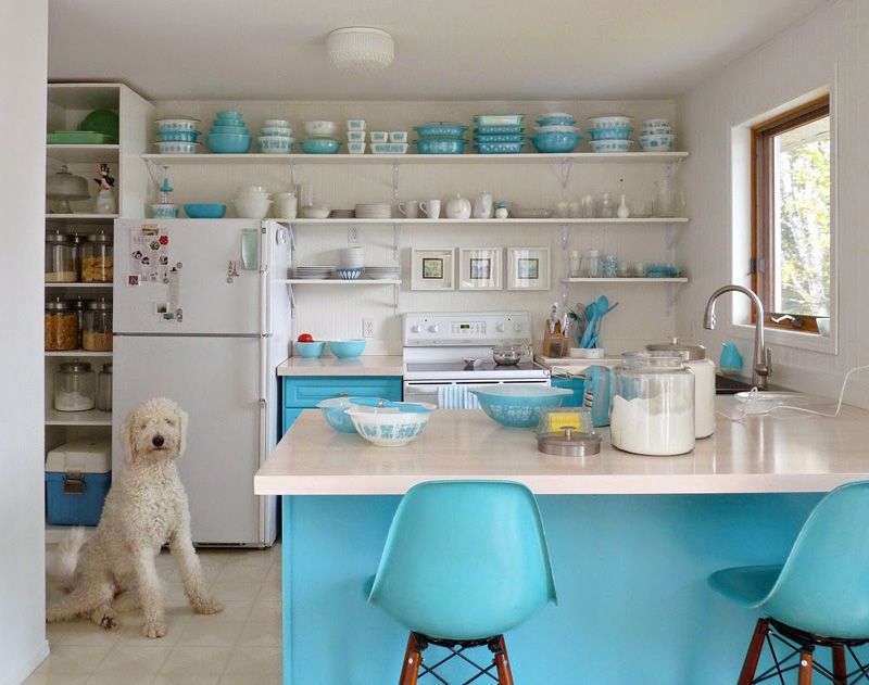 photo Szuka in the Kitchen_zpsq3dx7rts.jpg