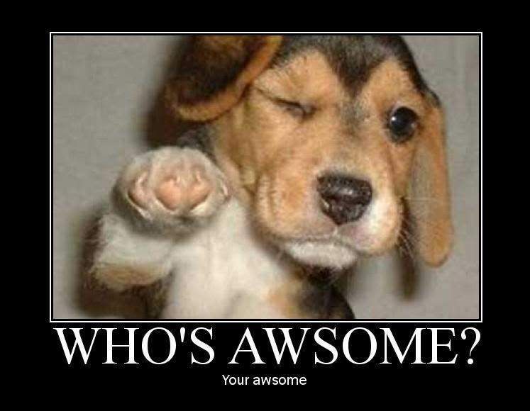 awsome.jpg