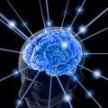 Cara Membuat Otak Jadi Cerdas