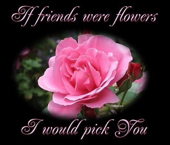 friends20101.jpg