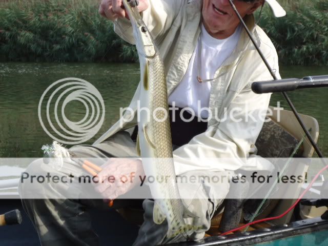 Gar Fishing One on One... | ChicagoLand Fishing Forums